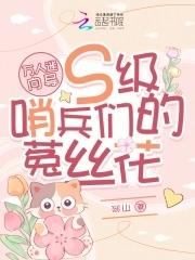 三流侦探