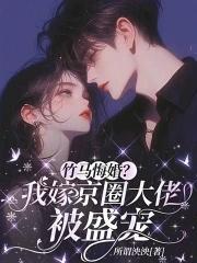 我夫郎是恶毒男配类别耽于纯美作者 端瑜